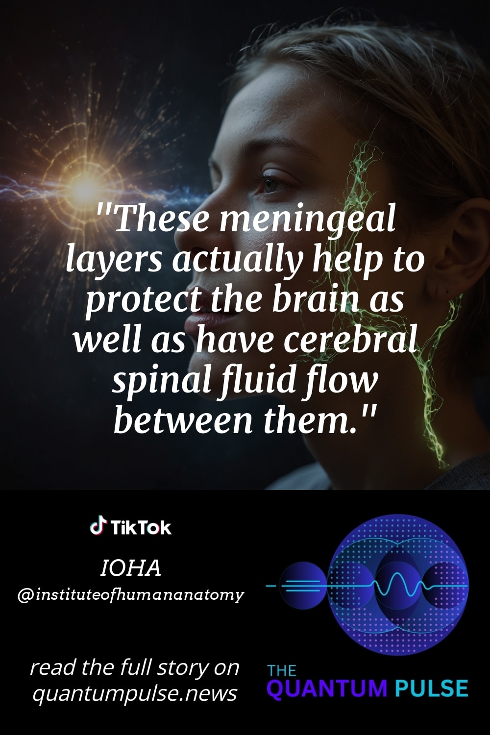 Pinterest Image These meningeal layers actually help to protect the brain as well as have cerebral spinal fluid flow between them.
