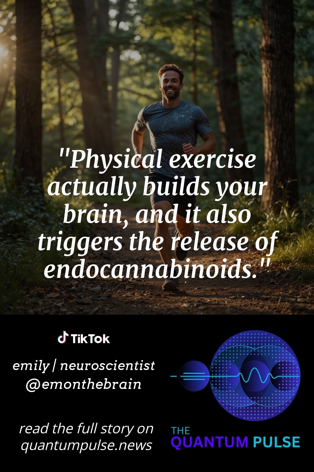 Pinterest Image Physical exercise actually builds your brain, and it also triggers the release of endocannabinoids.