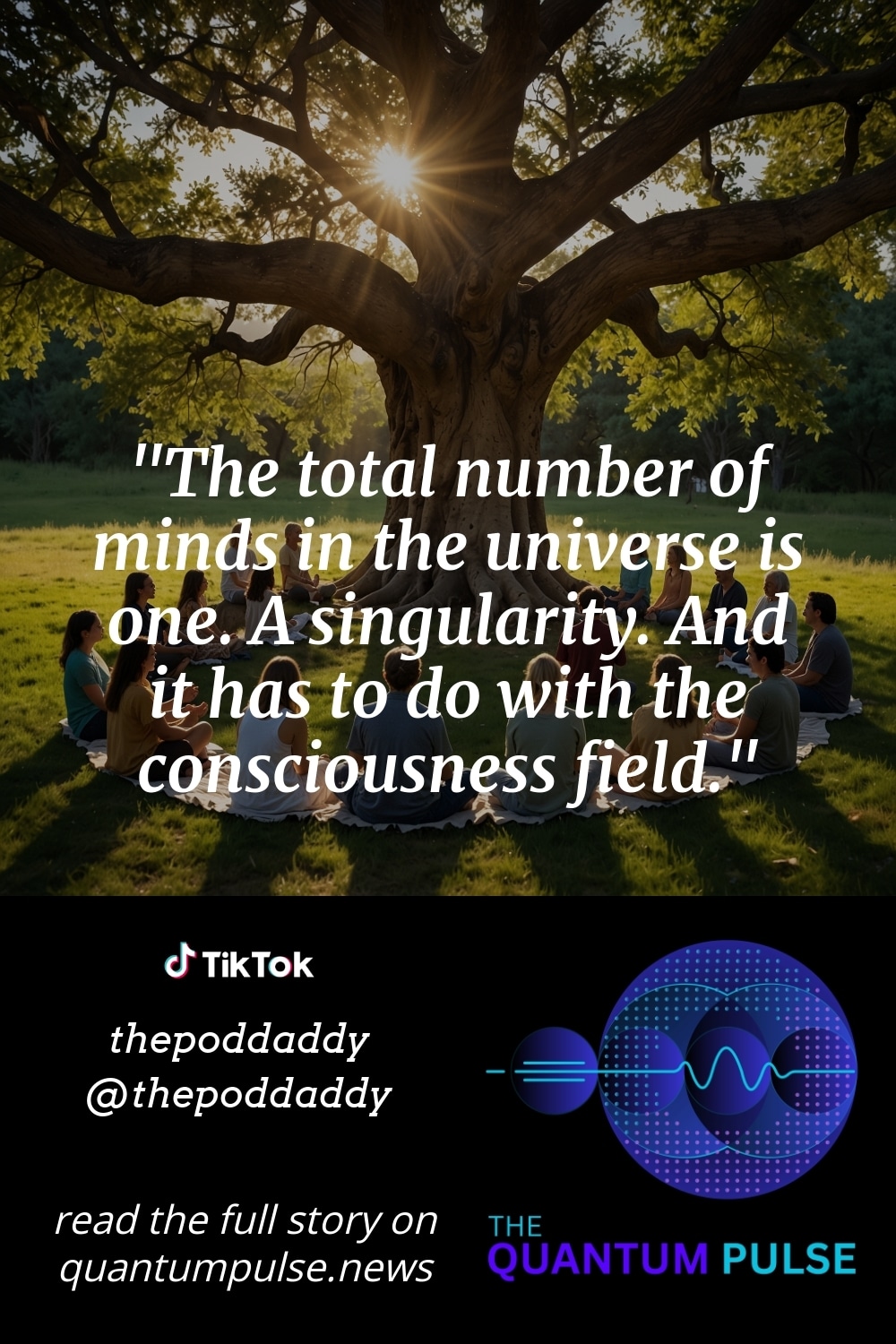 Pinterest Image The total number of minds in the universe is one. A singularity. And it has to do with the consciousness field.